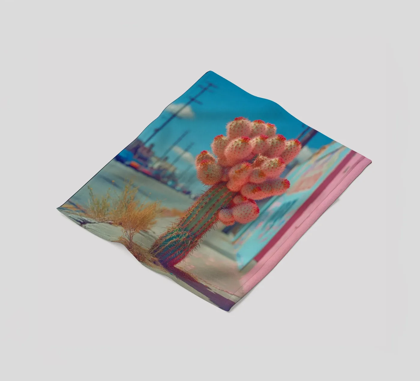 81 coperta in pile da Pink California | Affiches & Posters
