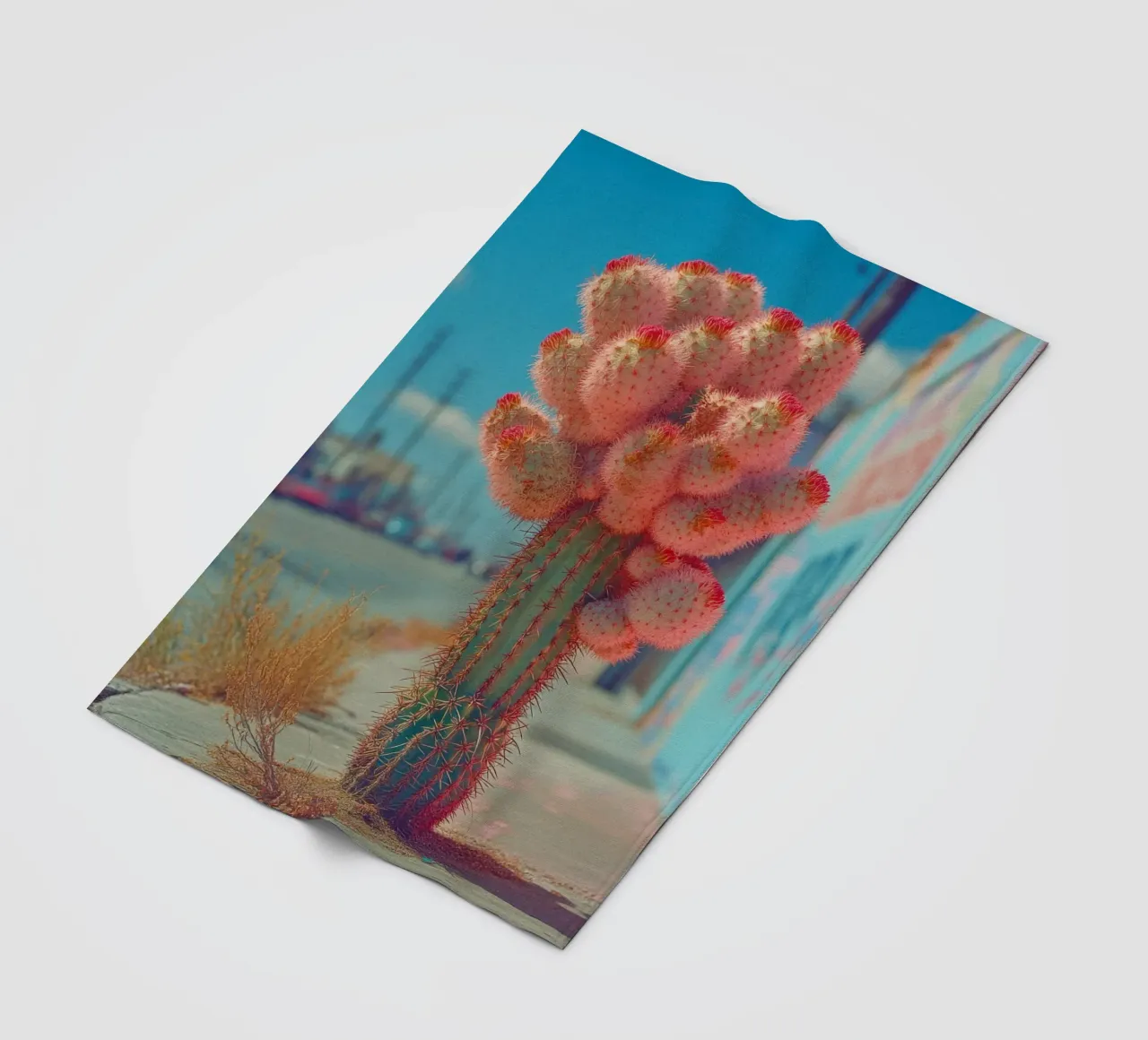 81 Fleecedecke von Pink California | Affiches & Posters