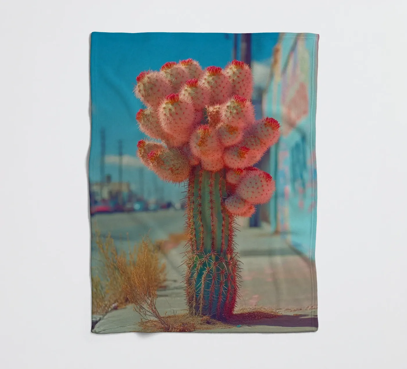 81 coperta in pile da Pink California | Affiches & Posters