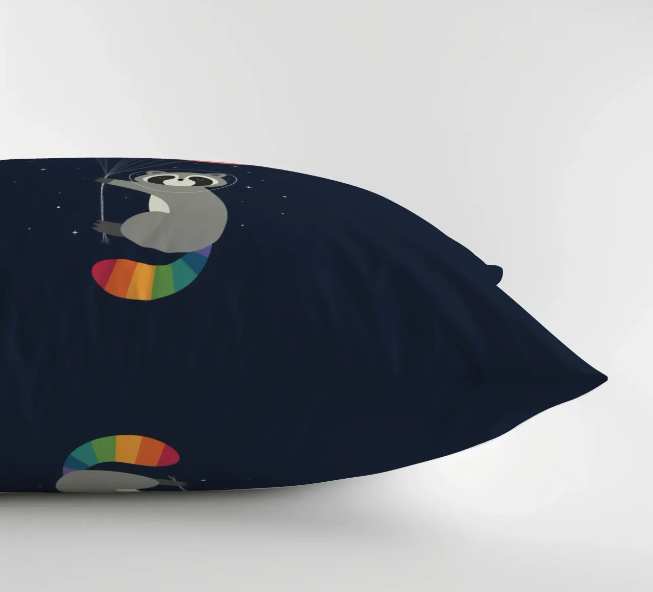 Procione spaziale cuscino da Andy Westface
