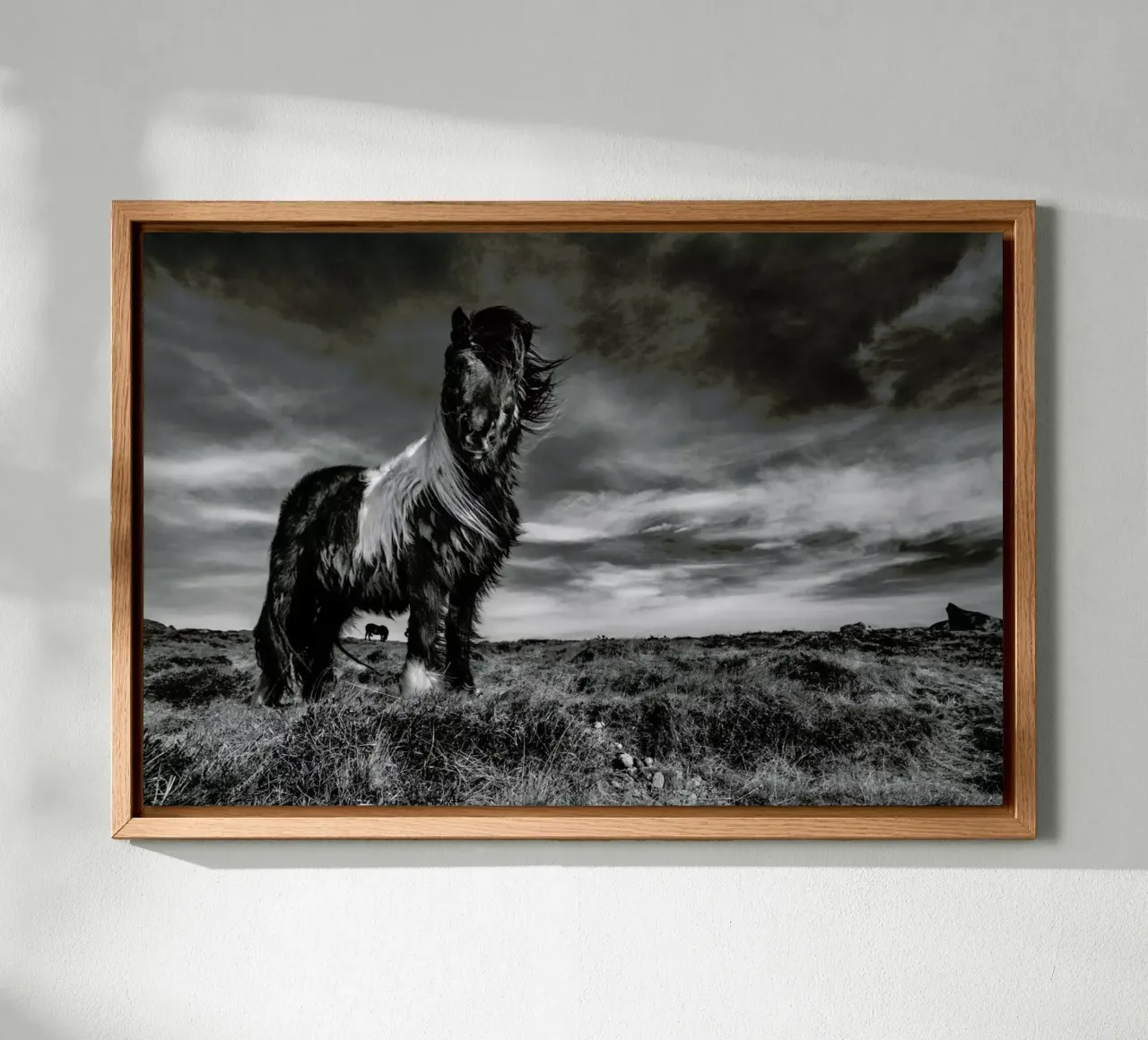 Two of a kind - Bragi Ingibergsson - BRIN tela con Cornice a cassetta da Pictufy