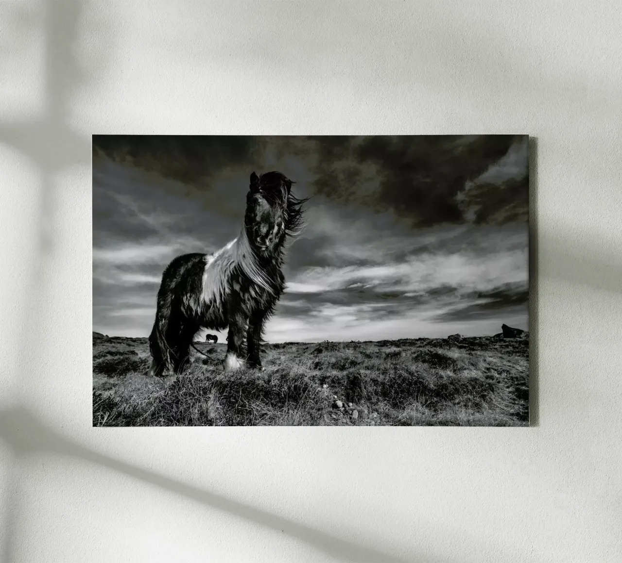 Two of a kind - Bragi Ingibergsson - BRIN tela con Cornice a cassetta da Pictufy