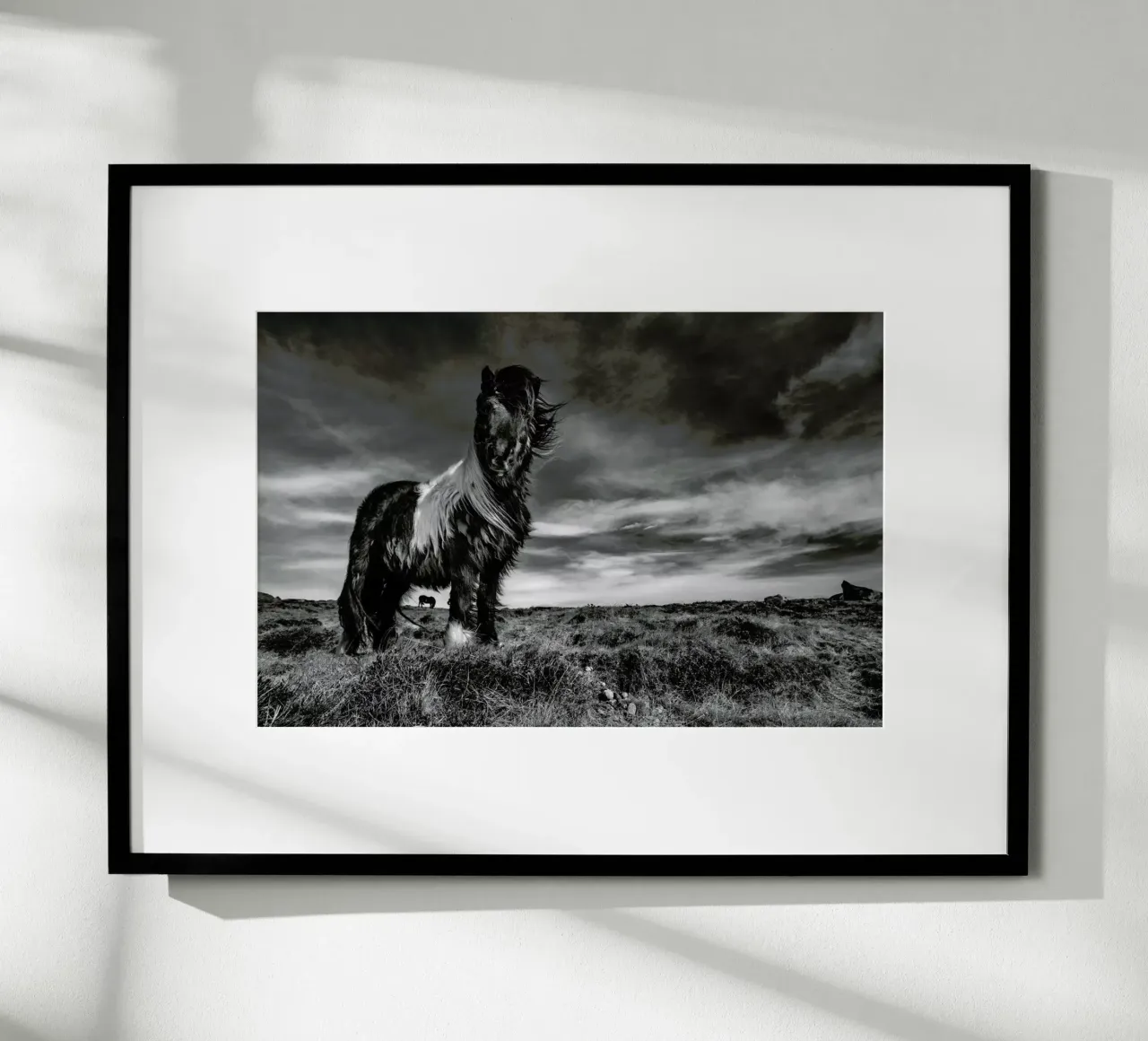 Two of a kind - Bragi Ingibergsson - BRIN poster da Pictufy