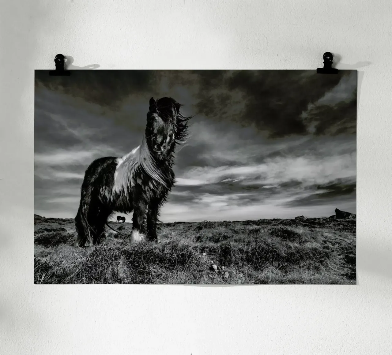 Two of a kind - Bragi Ingibergsson - BRIN poster da Pictufy