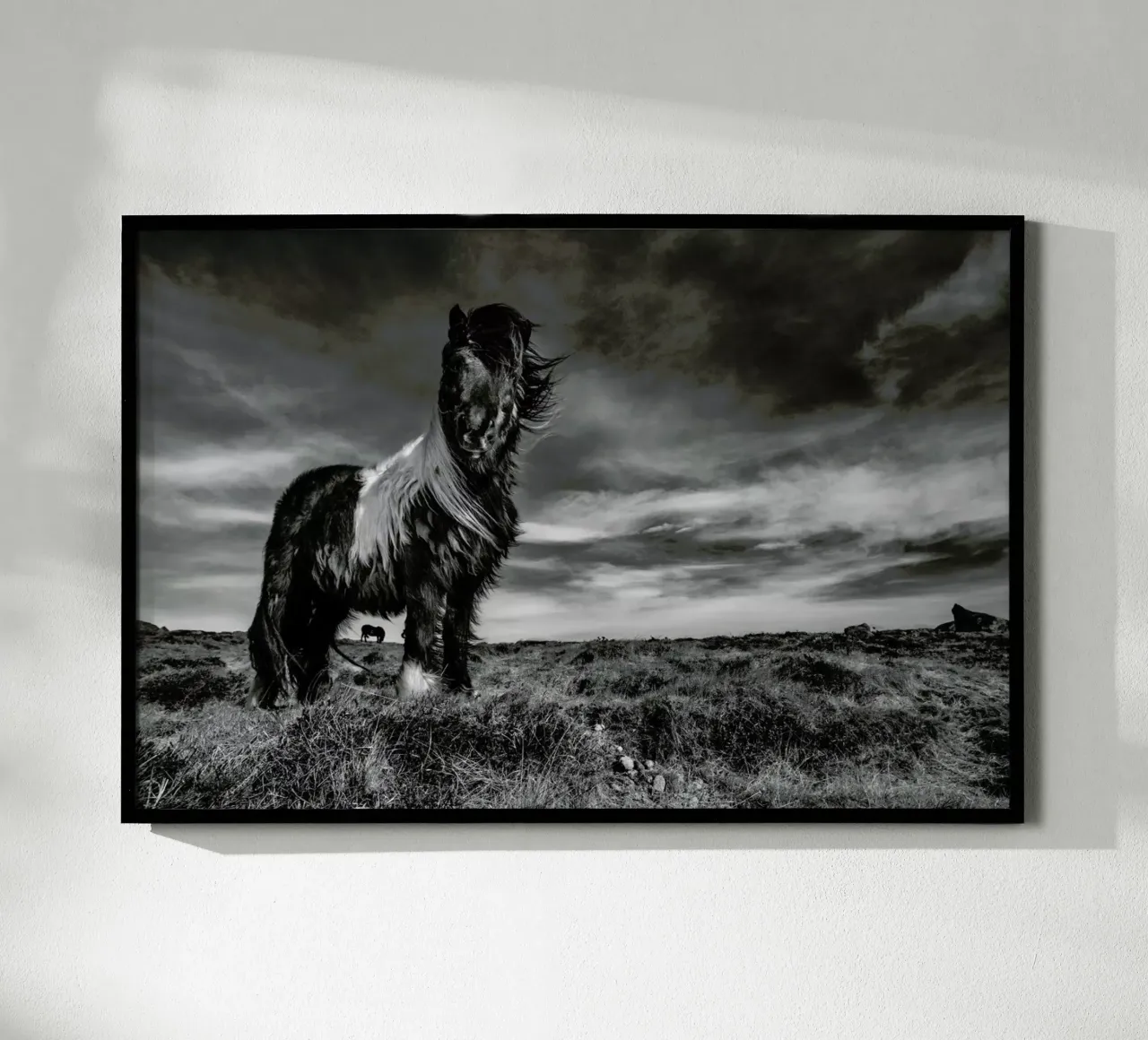 Two of a kind - Bragi Ingibergsson - BRIN poster da Pictufy