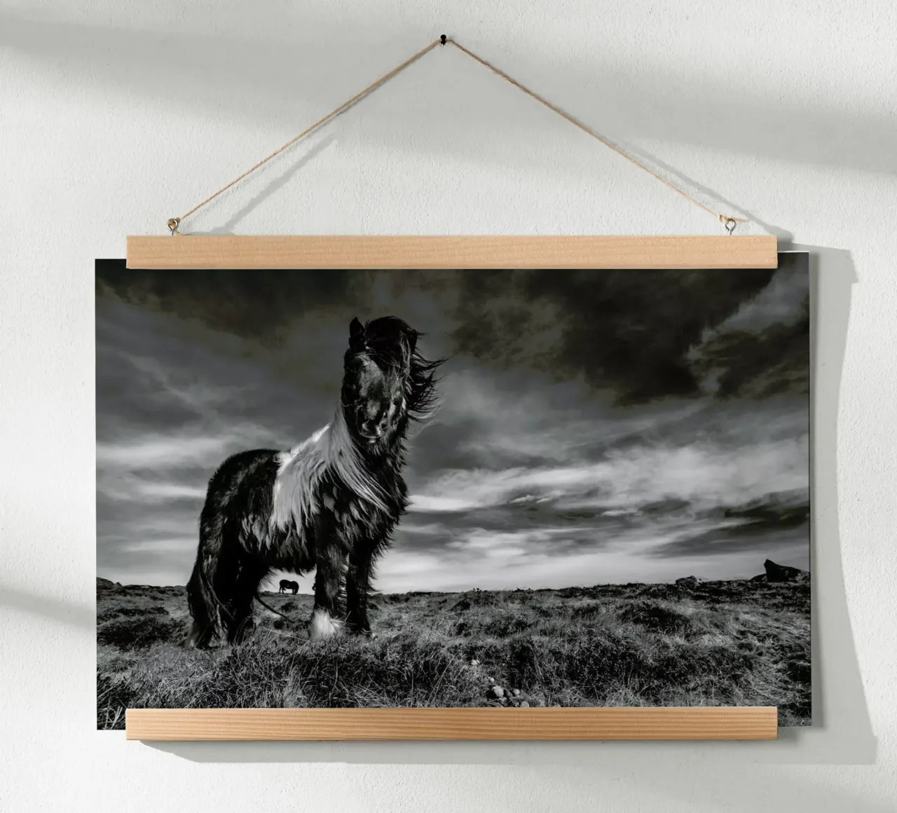 Two of a kind - Bragi Ingibergsson - BRIN poster da Pictufy
