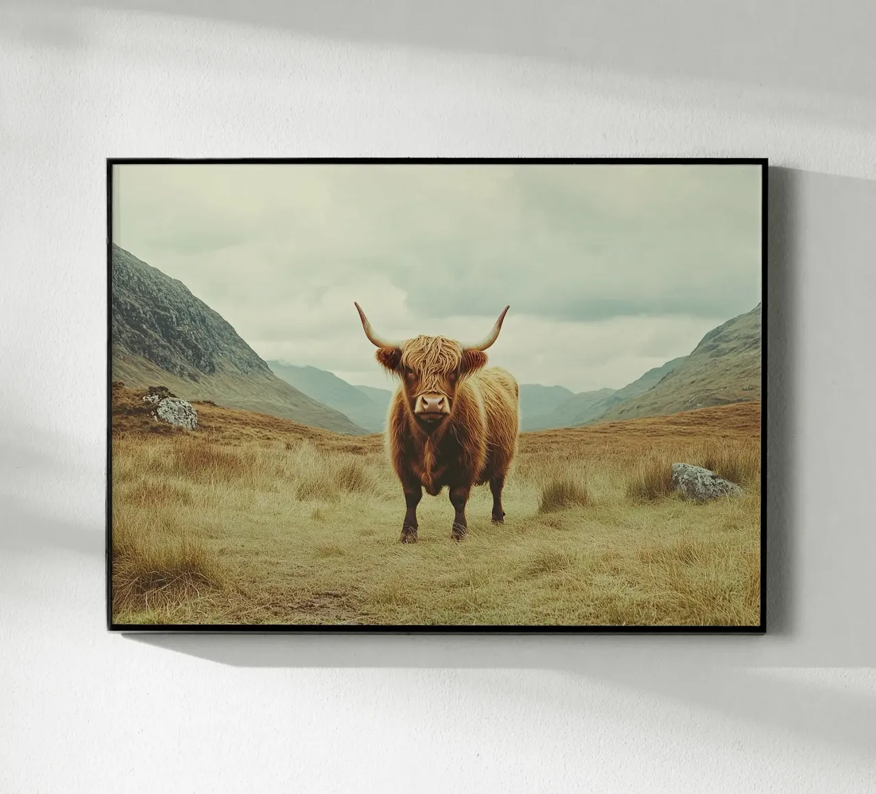 Des géants tout en douceur : La vache Highland dans la nature plexiglas de Nikis Art Studio