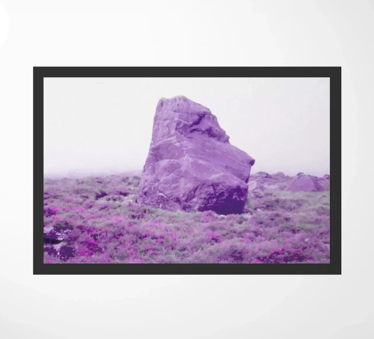 Up In The Fog zerbino da Jan Luzar