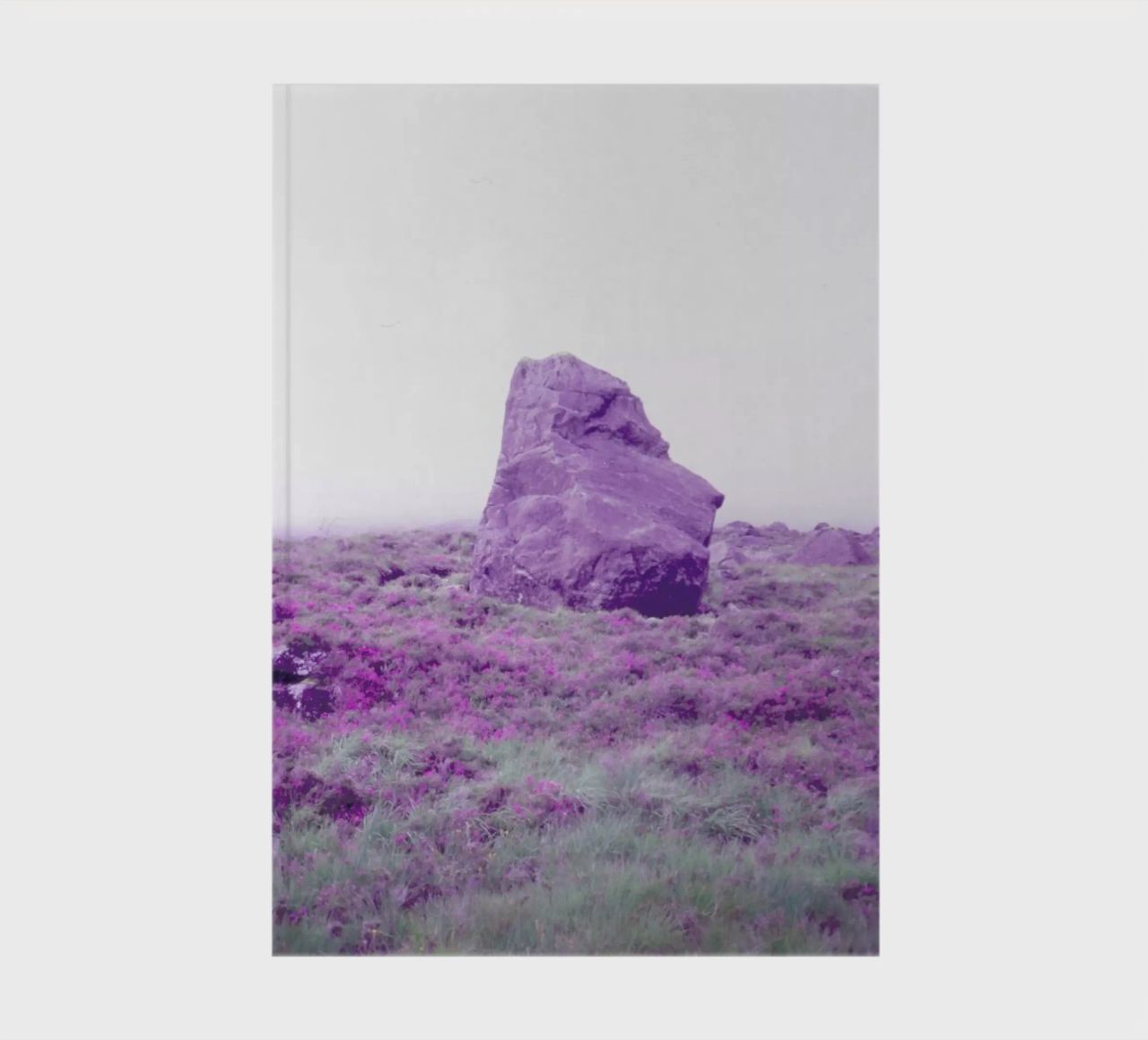 Up In The Fog notebook by Jan Luzar