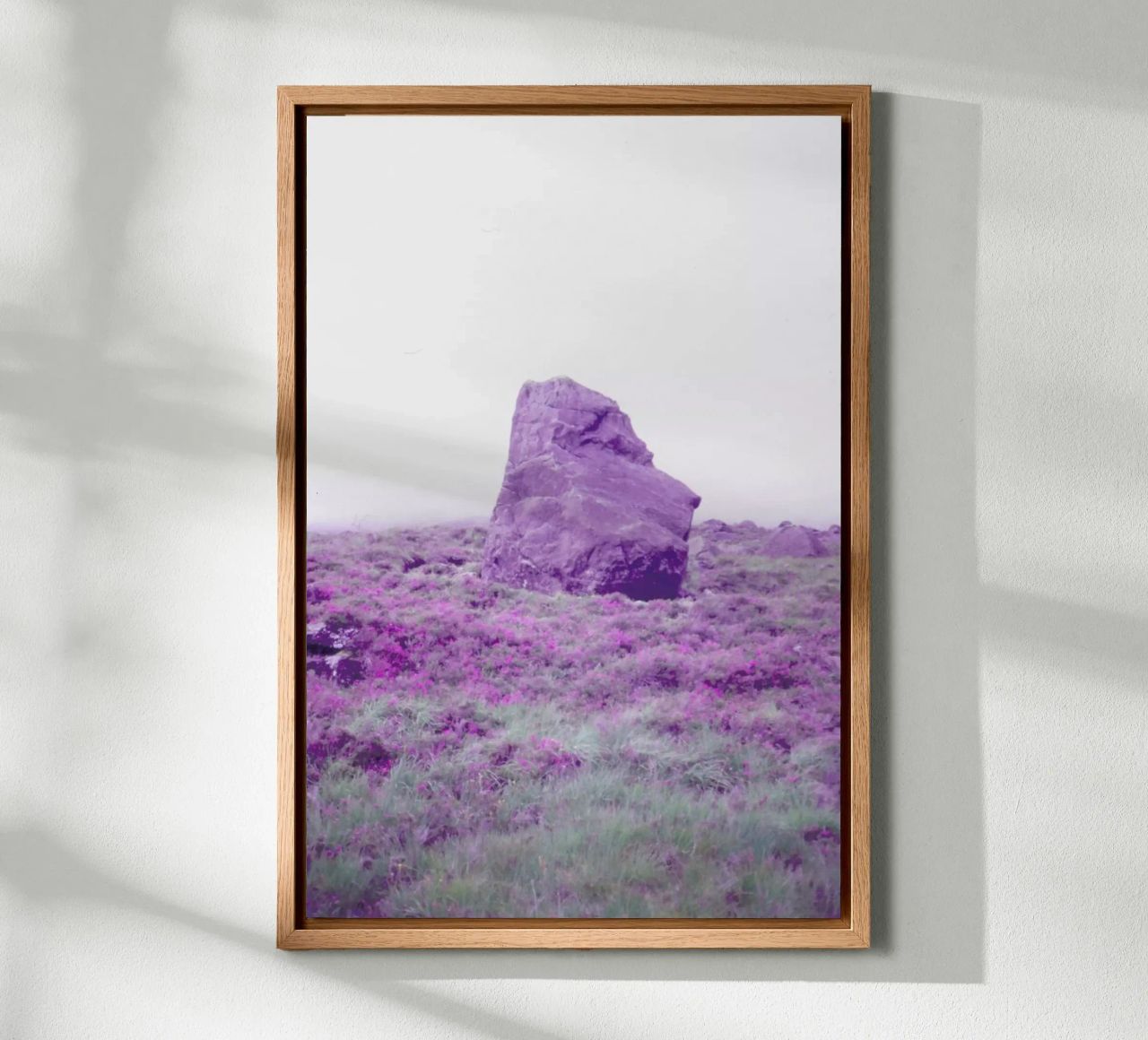 Up In The Fog alluminio dibond da Jan Luzar