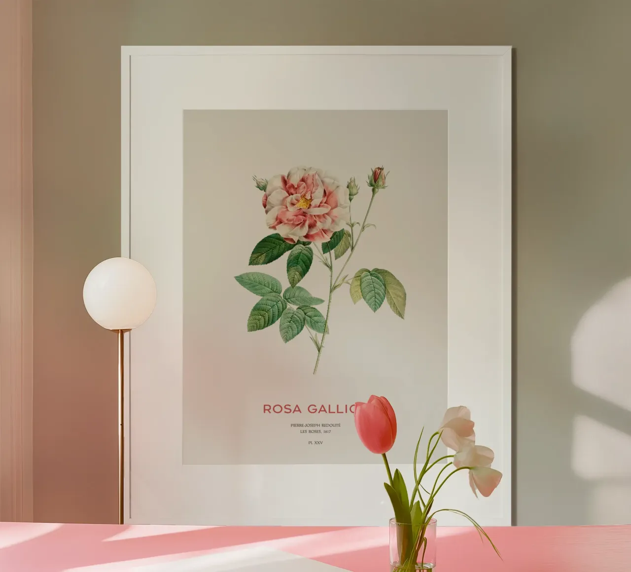 Rosa francese o Rosa Gallica poster con telaio in alluminio da Vintagrafica