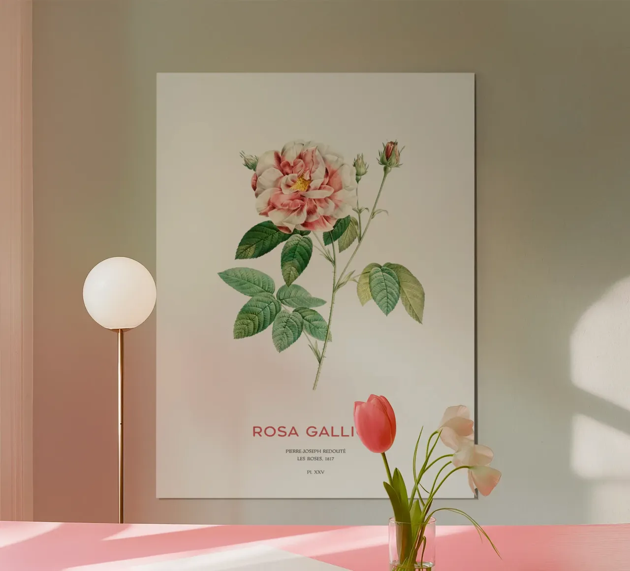 Rosa francese o Rosa Gallica poster con telaio in alluminio da Vintagrafica