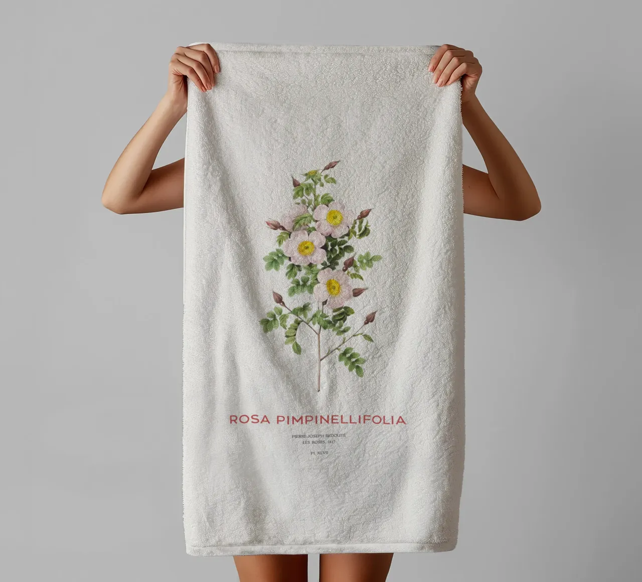 Rosa Burnet o Rosa Pimpinellifolia asciugamano da bagno da Vintagrafica