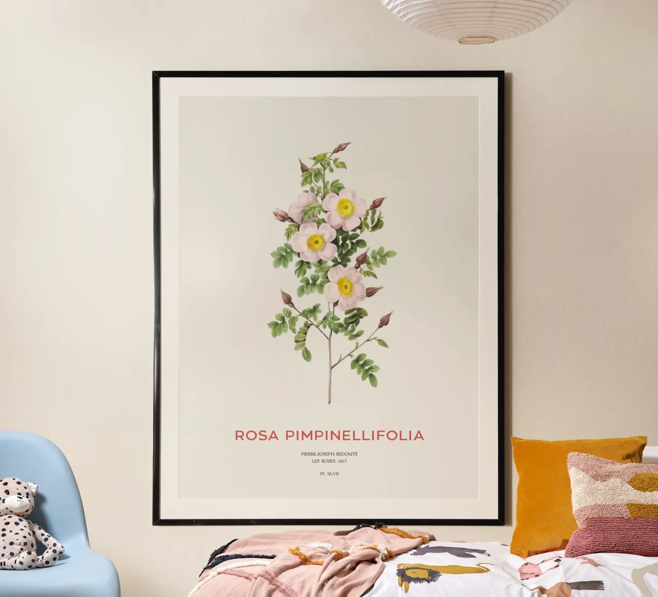 Rosa Burnet o Rosa Pimpinellifolia carta hahnemühle da Vintagrafica