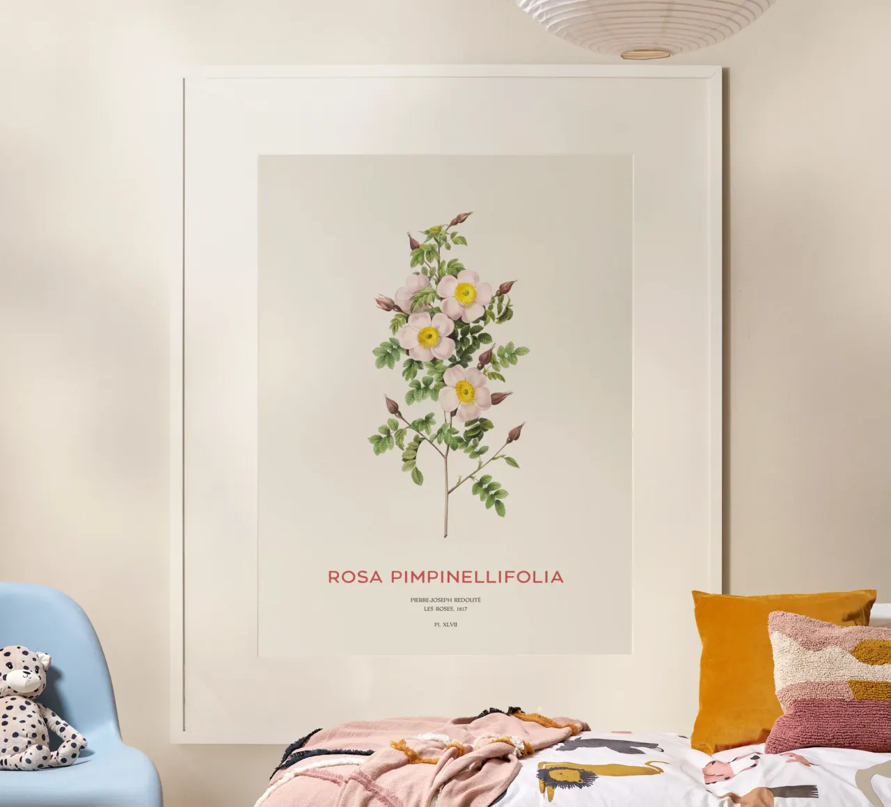 Rosa Burnet o Rosa Pimpinellifolia carta hahnemühle da Vintagrafica