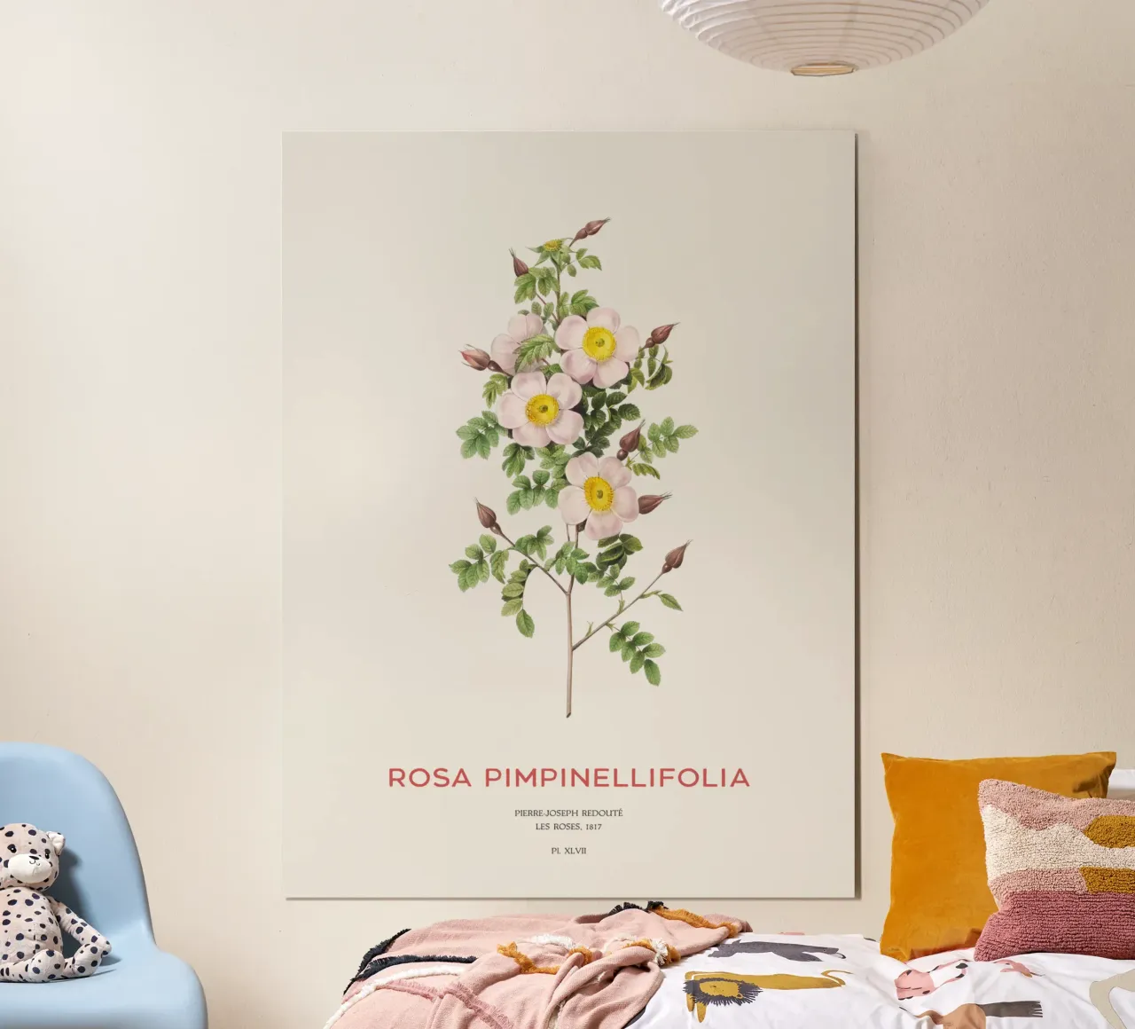 Rosa Burnet o Rosa Pimpinellifolia carta hahnemühle da Vintagrafica