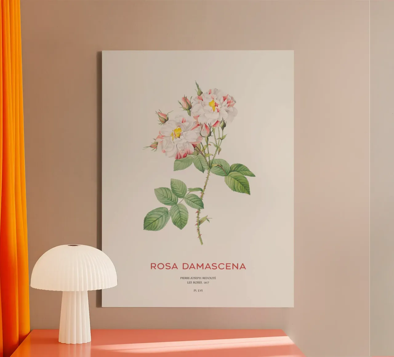 Damastroos of Rosa Damascena canvas met Baklijst van Vintagrafica