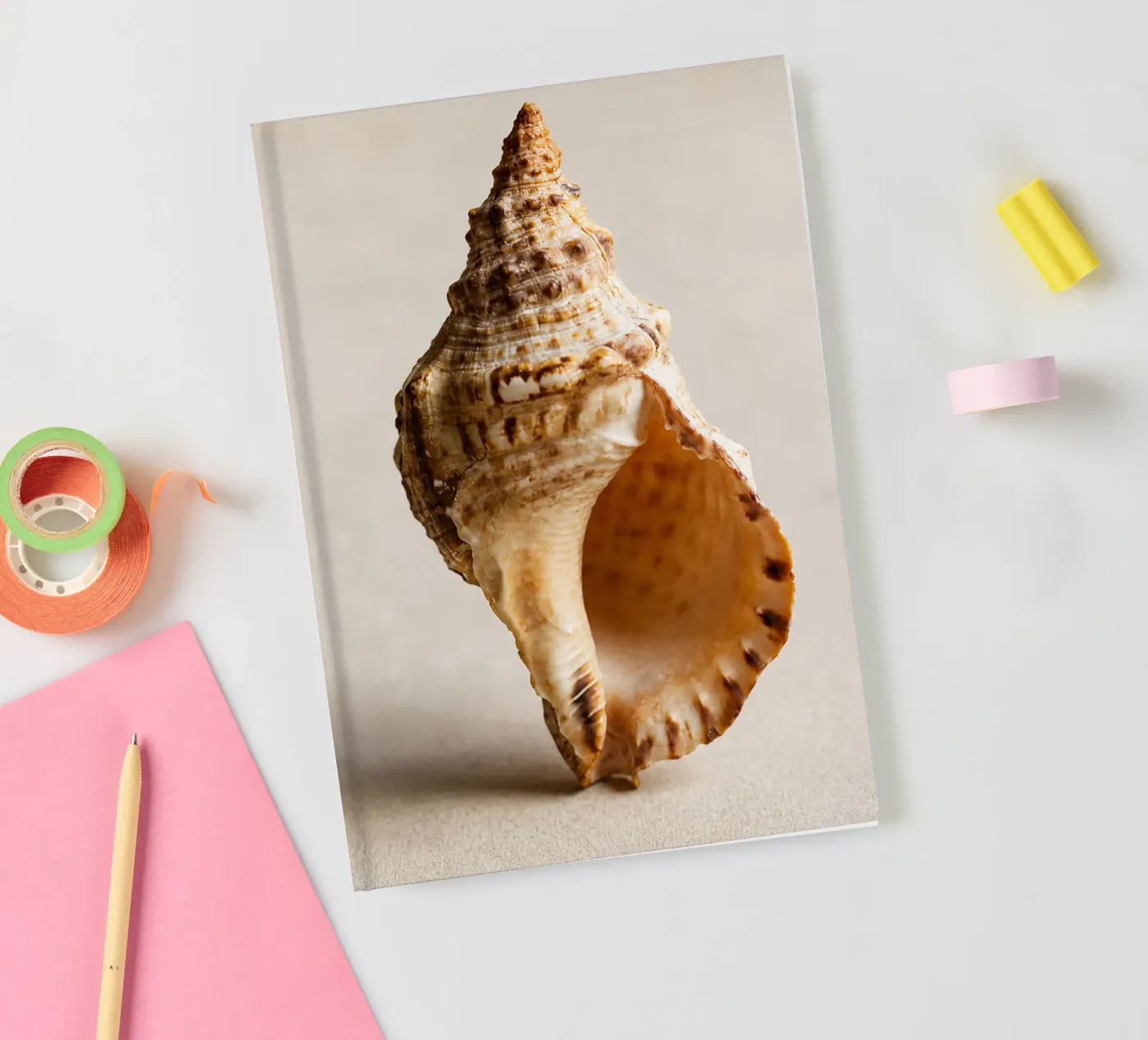 seashell notebook by onelife