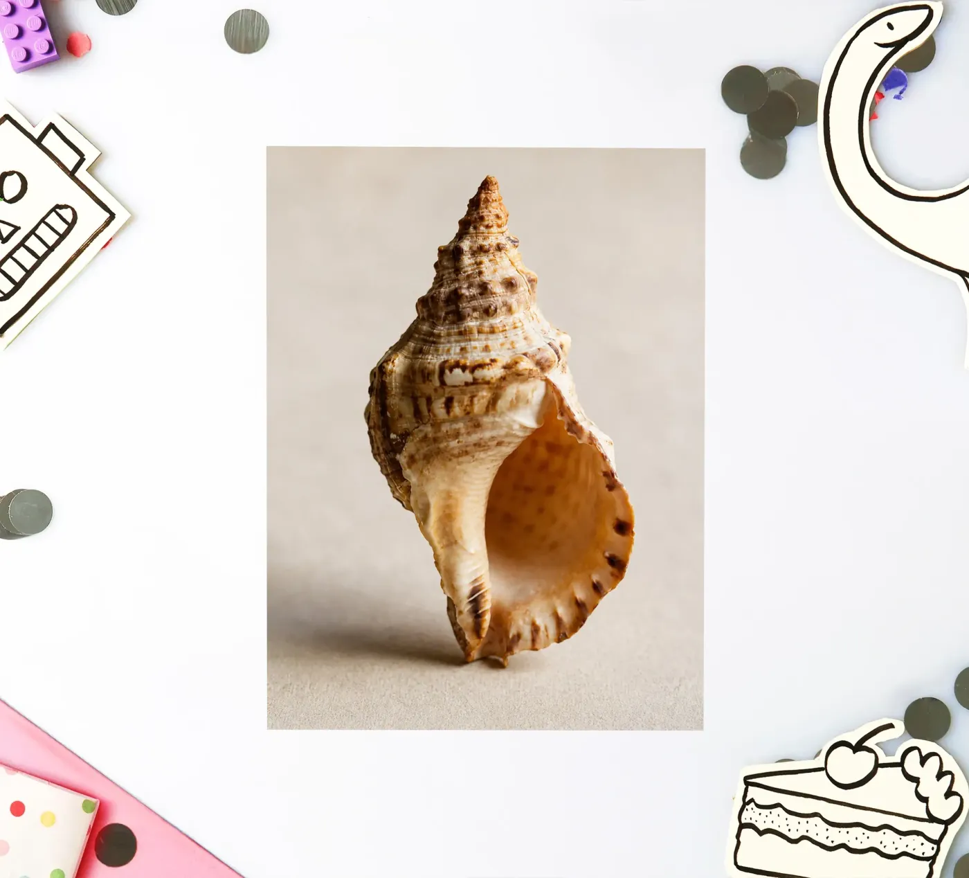 schelp sticker van onelife