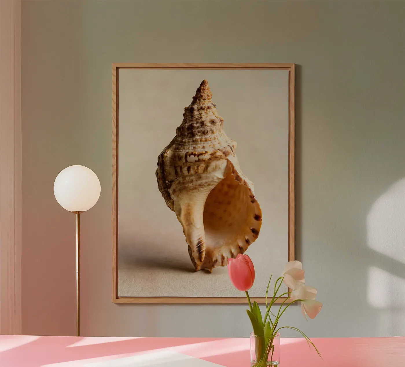 seashell forex plate by onelife