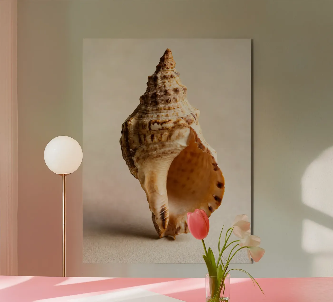 seashell forex plate by onelife