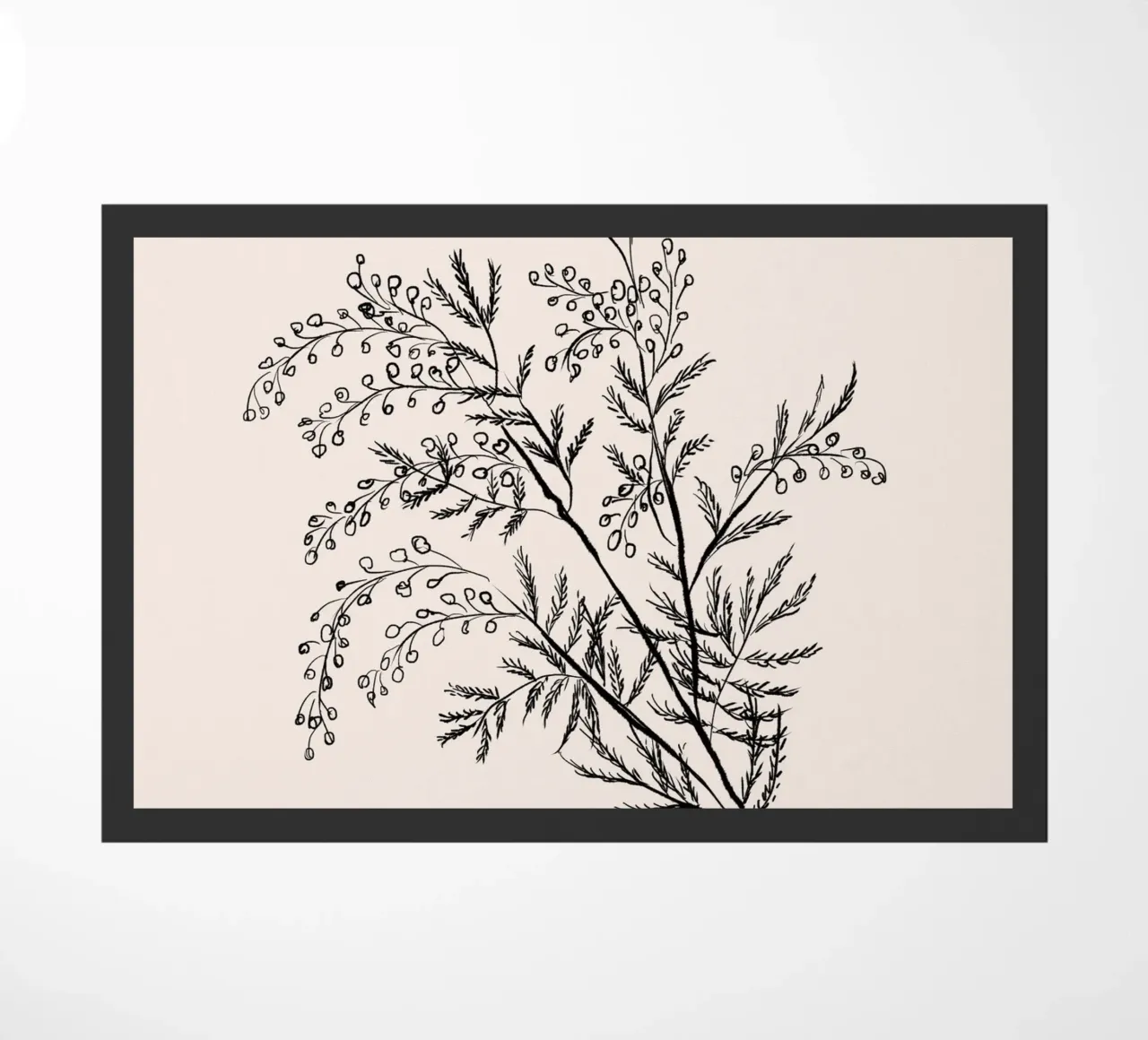 Acacia Branch Minimalist Drawing zerbino da anisillustration