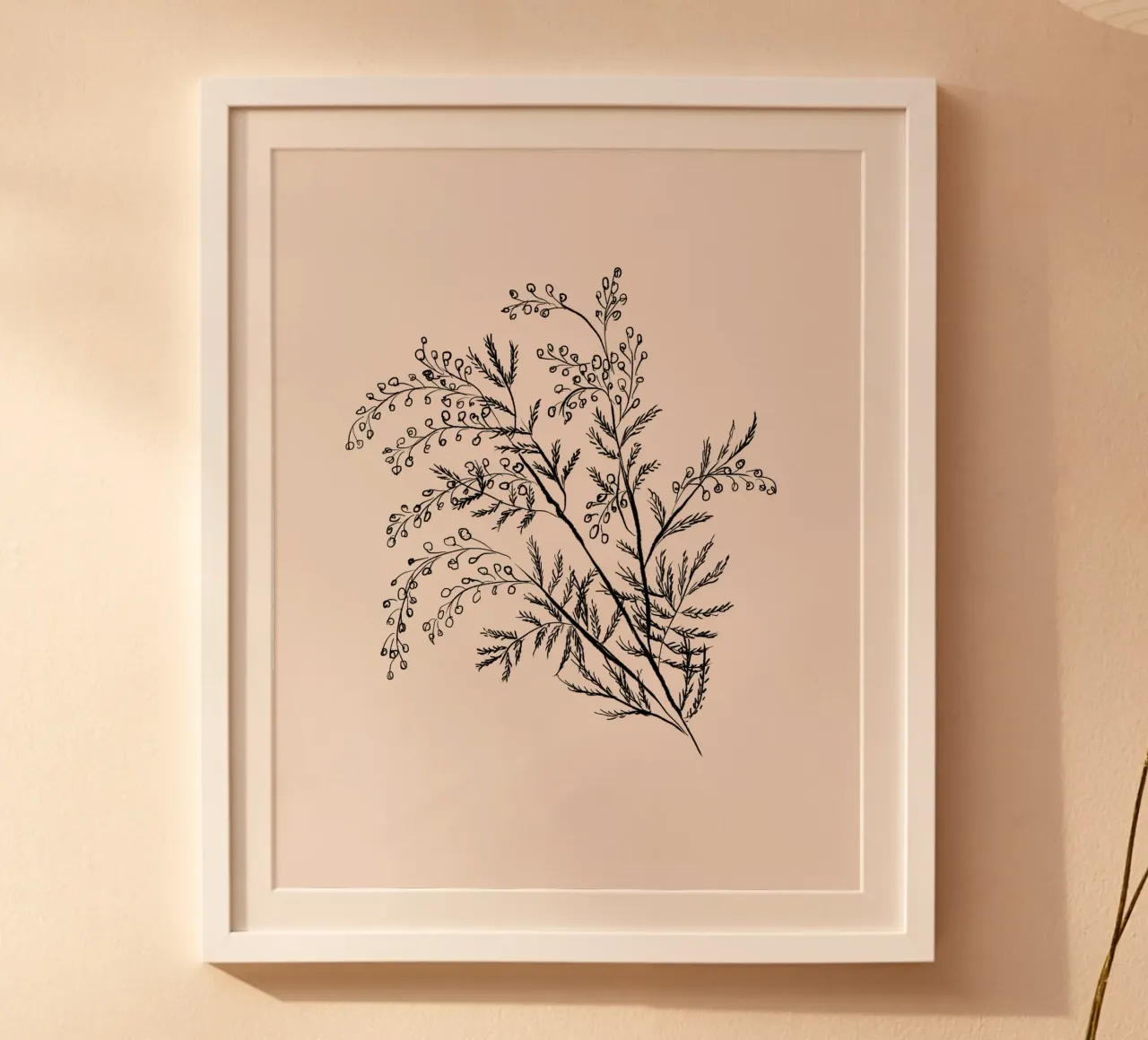 Acacia Branch Minimalist Drawing carta hahnemühle da anisillustration