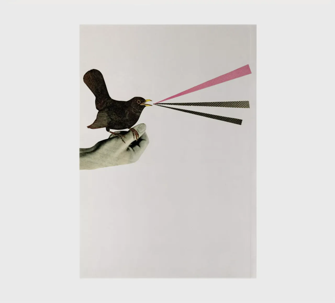 Bird in the Hand notebook by Cassia Beck Collage