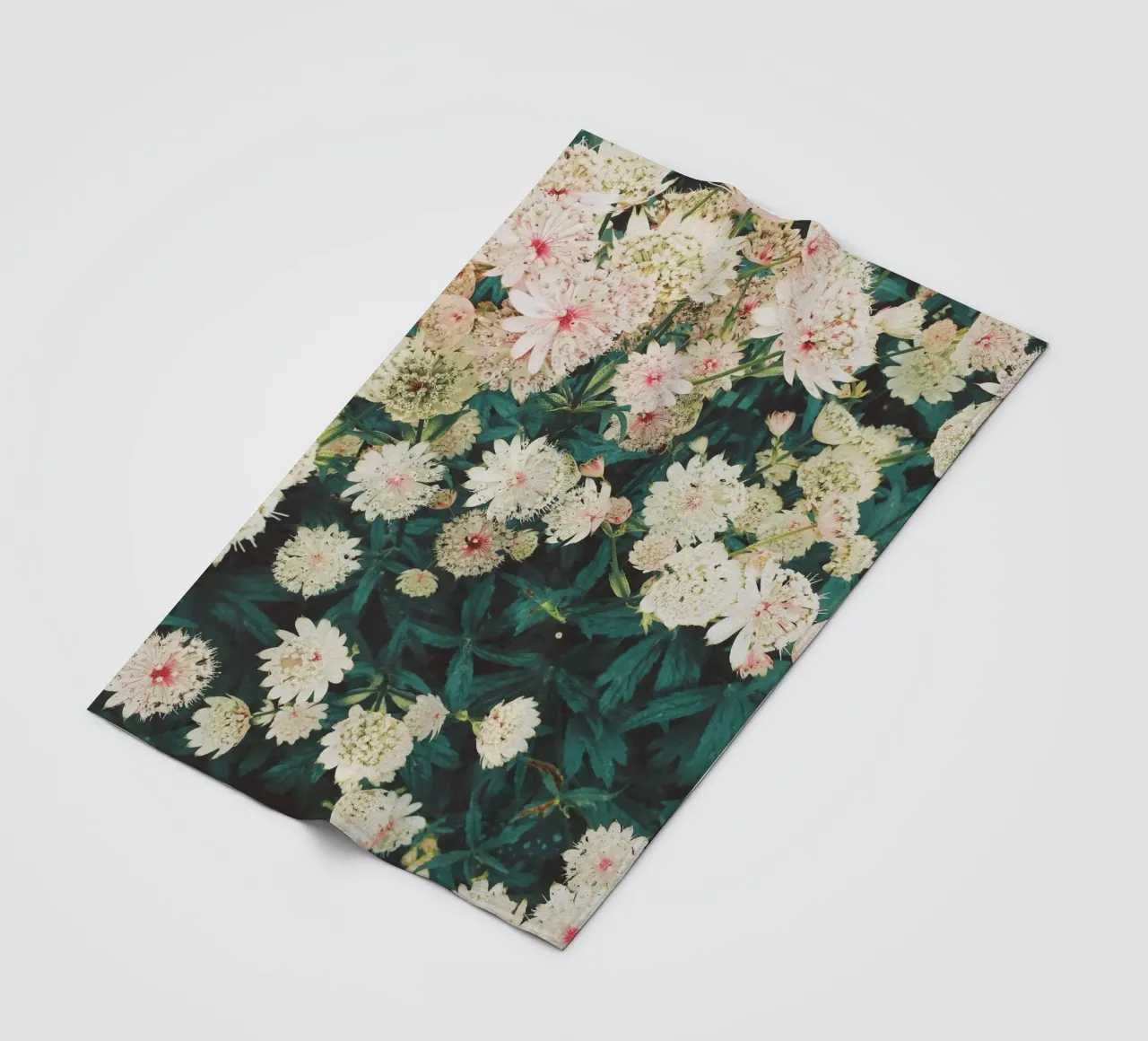 Fiori di pizzo coperta in pile da Cassia Beck Photography