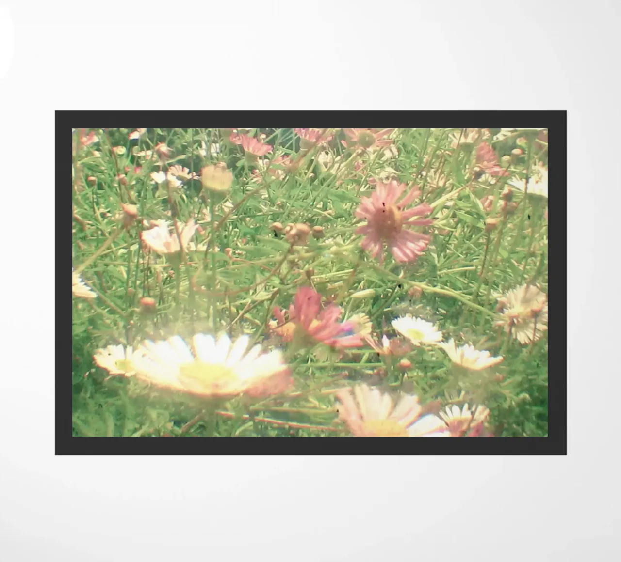 Cache-cache paillasson de Cassia Beck Photography