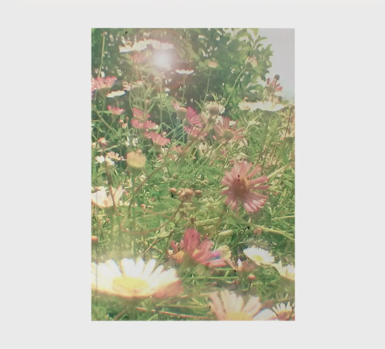 Cache-cache carnet de notes de Cassia Beck Photography