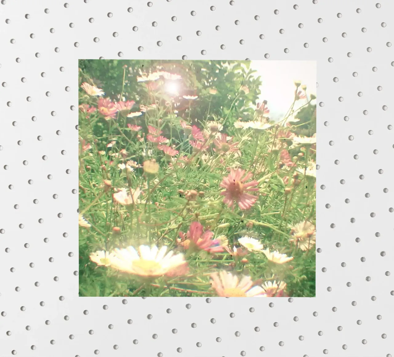 Cache-cache autocollant de Cassia Beck Photography