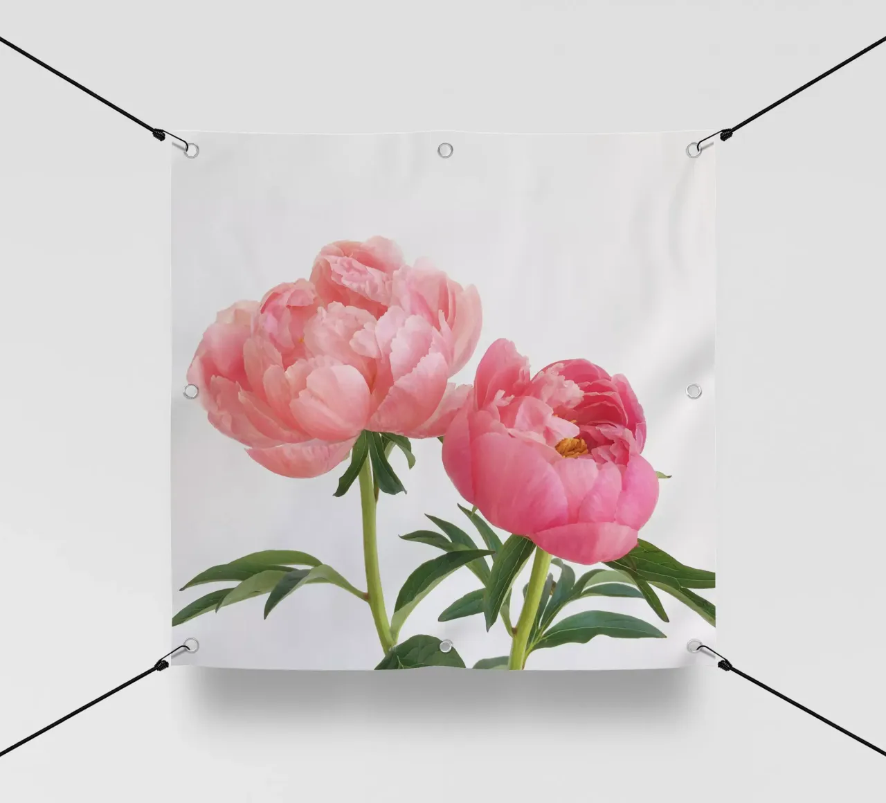 Peonie telo in pvc da Cassia Beck Photography