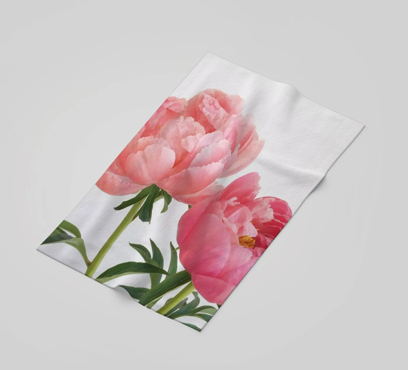 Peonie telo mare da Cassia Beck Photography