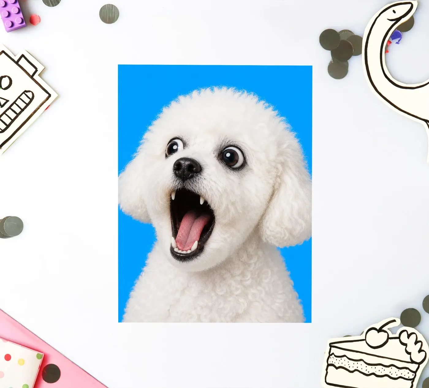 Kibble! sticker by Tamsen Design