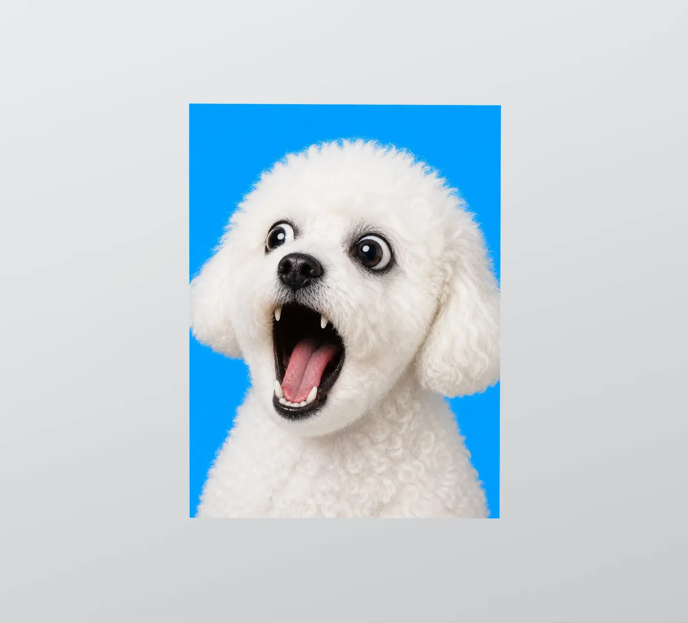 Kibble! sticker by Tamsen Design
