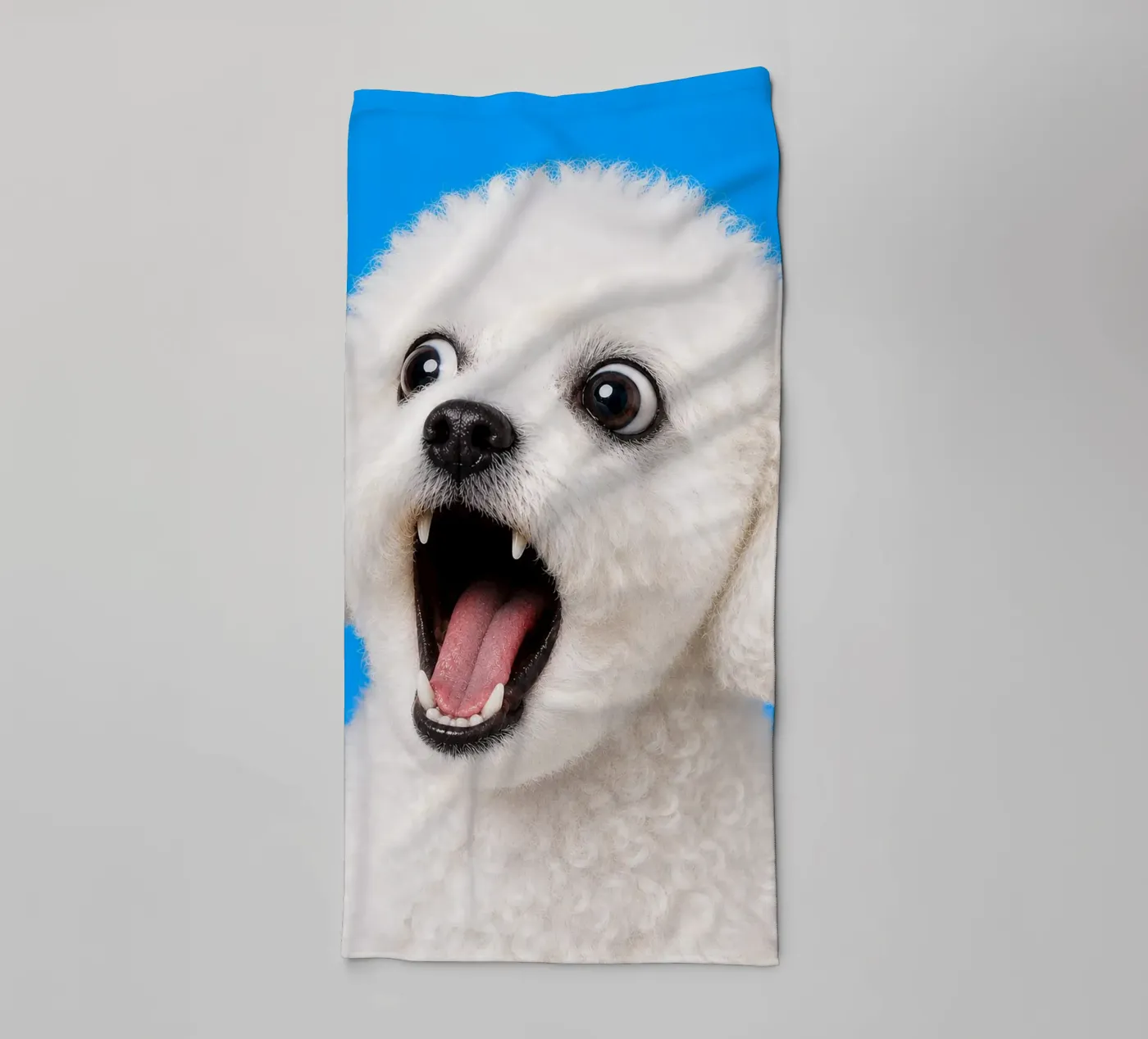 Kibble! towel by Tamsen Design