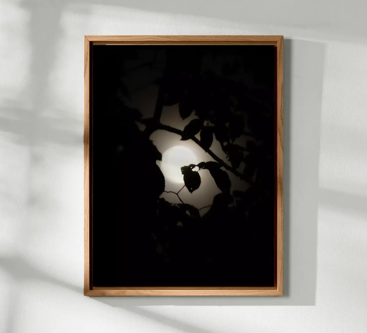Hiding | Leaves before Moon alluminio dibond da menega sabidussi | moods