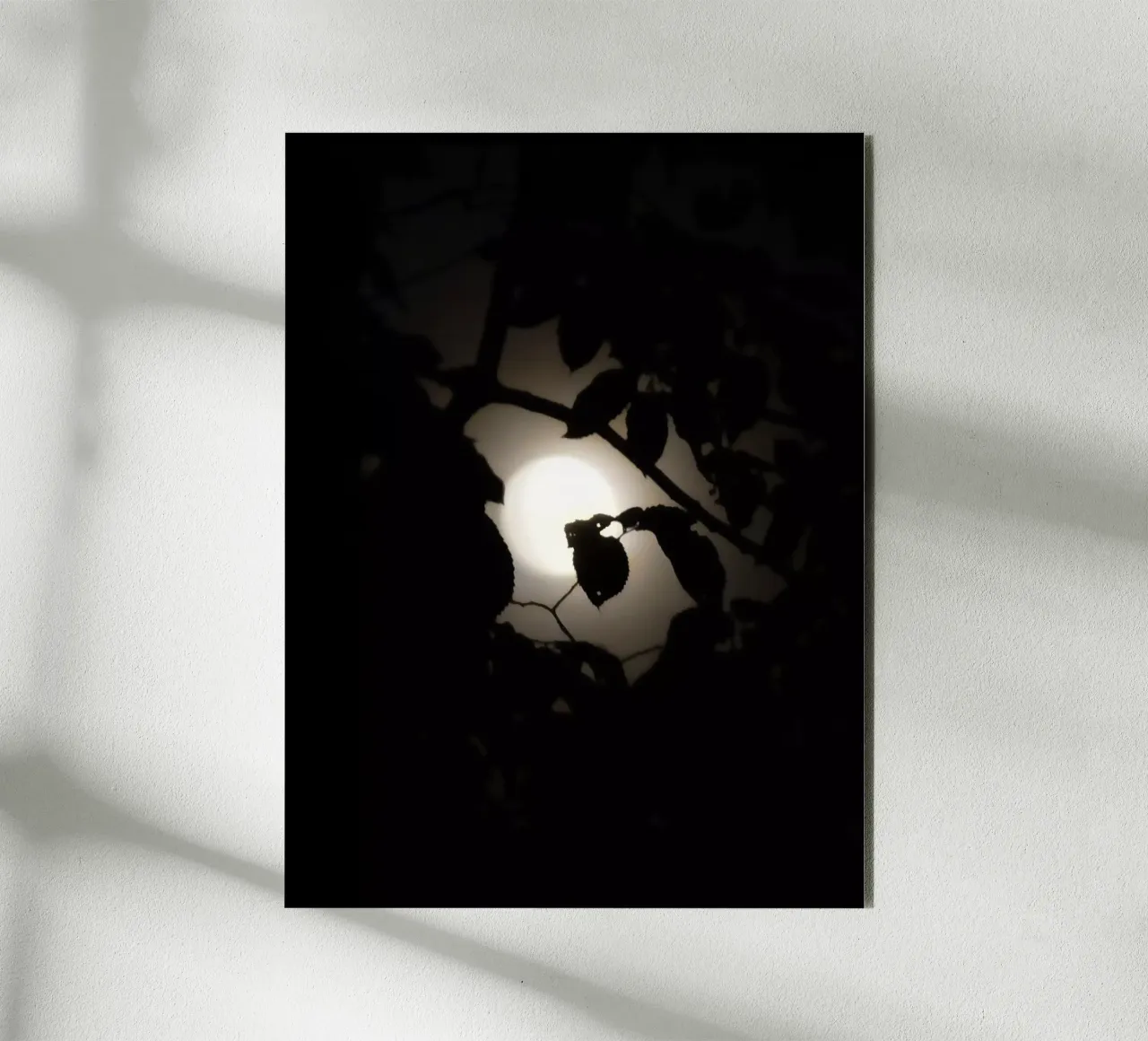 Hiding | Leaves before Moon alluminio dibond da menega sabidussi | moods