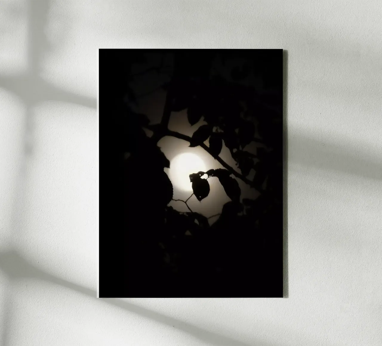 Hiding | Leaves before Moon canvas by menega sabidussi | moods