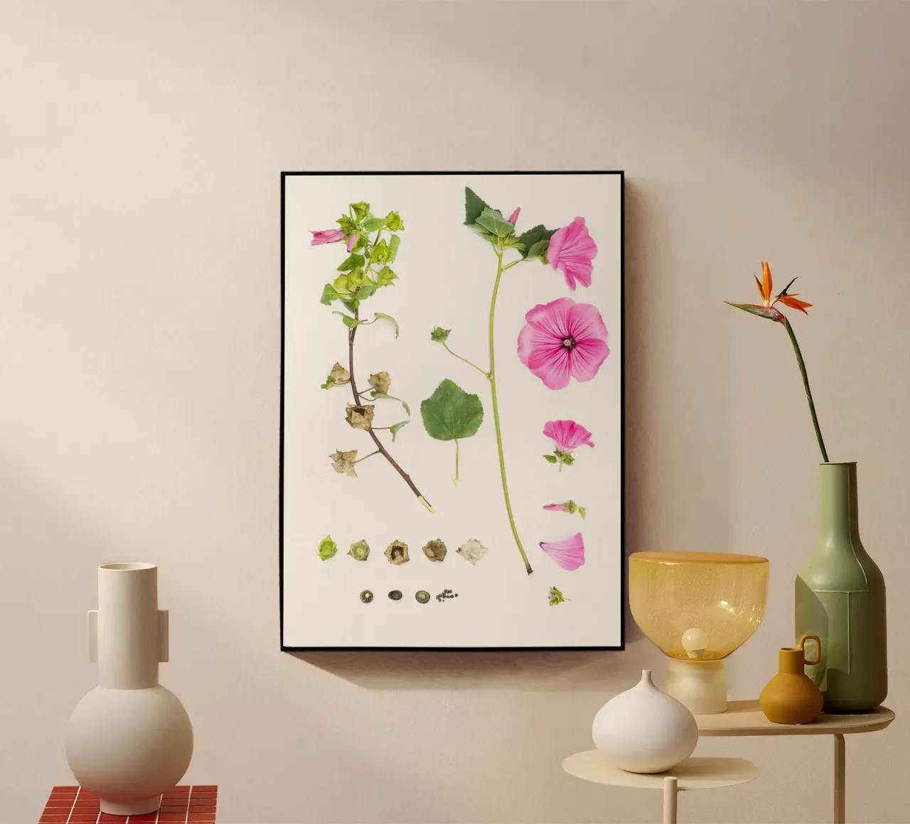 Pink Malve plexiglass da Curious Collections by Marielle Leenders