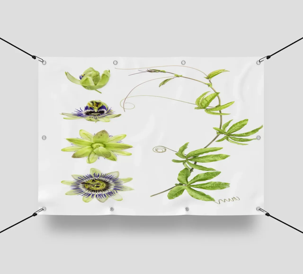 Passiflora telo in pvc da Curious Collections by Marielle Leenders
