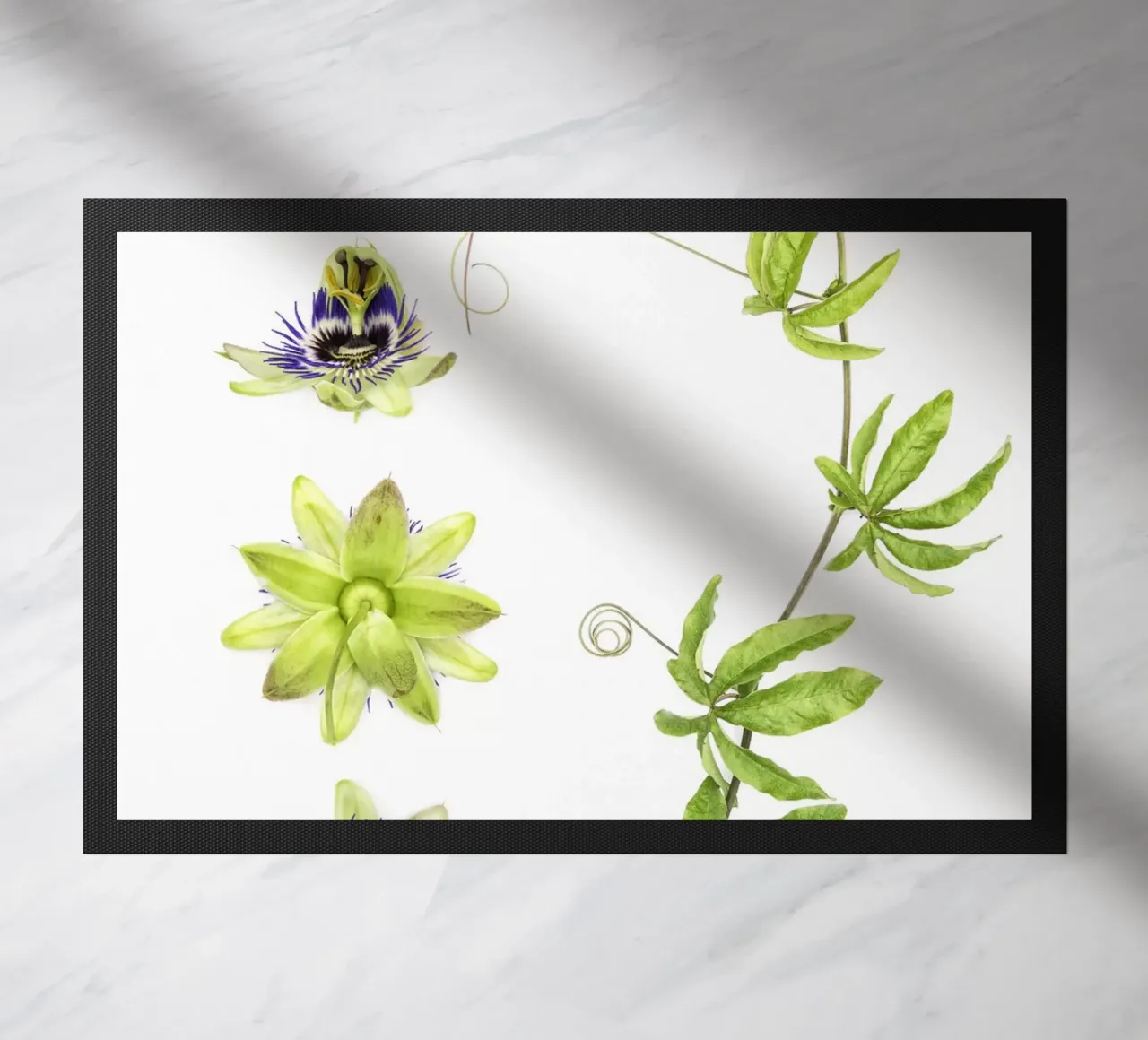 Passiflora zerbino da Curious Collections by Marielle Leenders