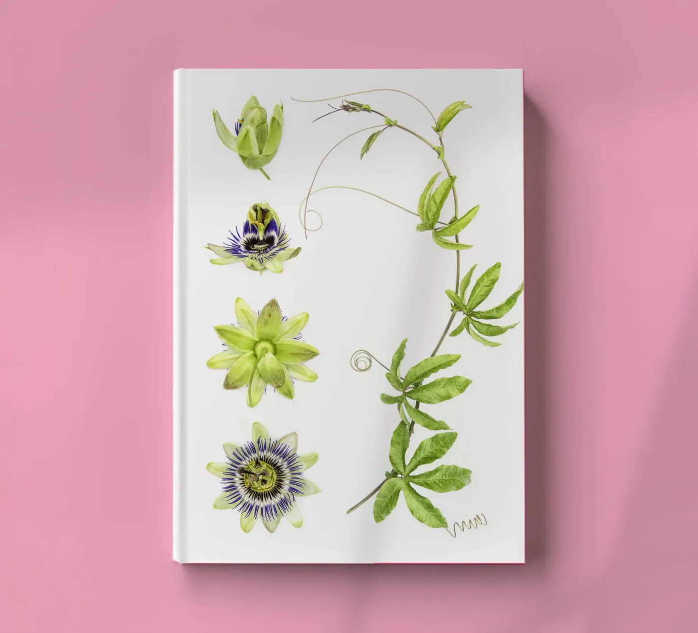 Passionflower Notizbuch von Curious Collections by Marielle Leenders