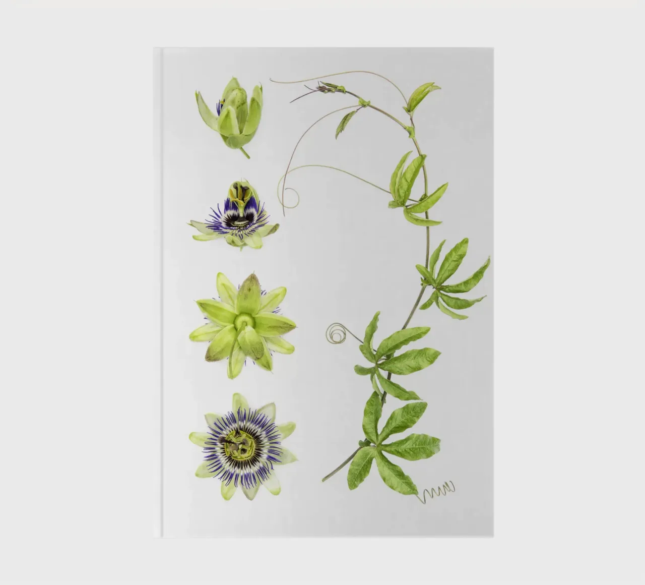 Passionflower notebook by Curious Collections by Marielle Leenders
