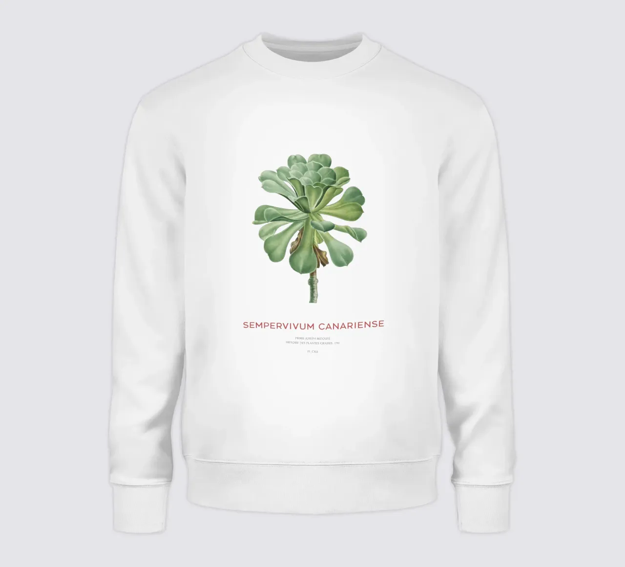 Aeonium Canariense or Sempervivum Canariense sweatshirt by Vintagrafica