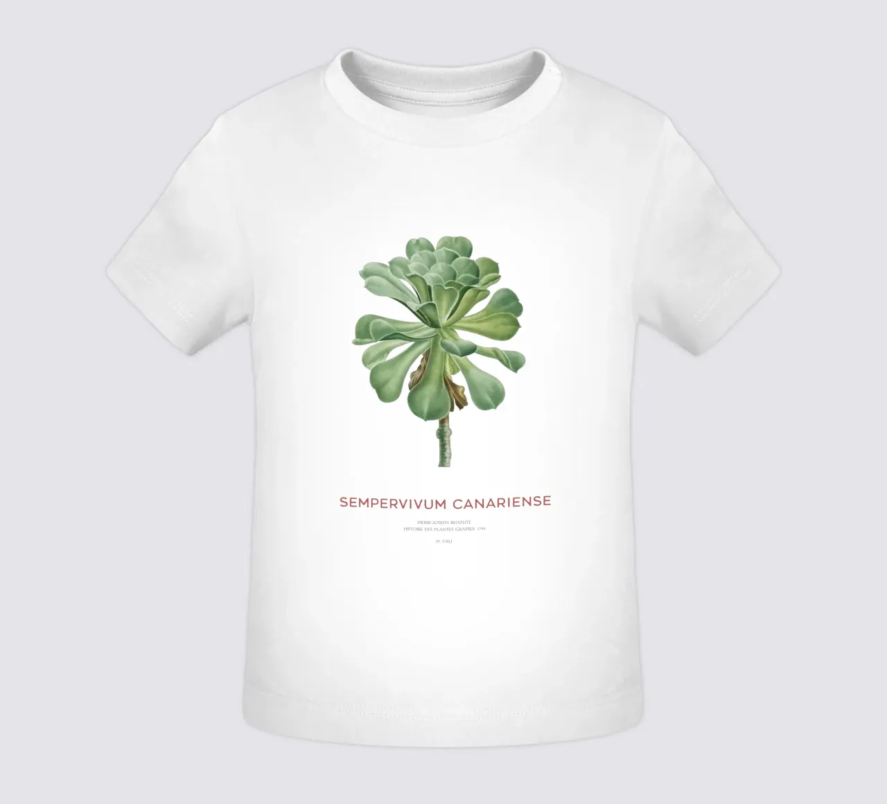 Aeonium Canariense o Sempervivum Canariense maglietta neonato da Vintagrafica