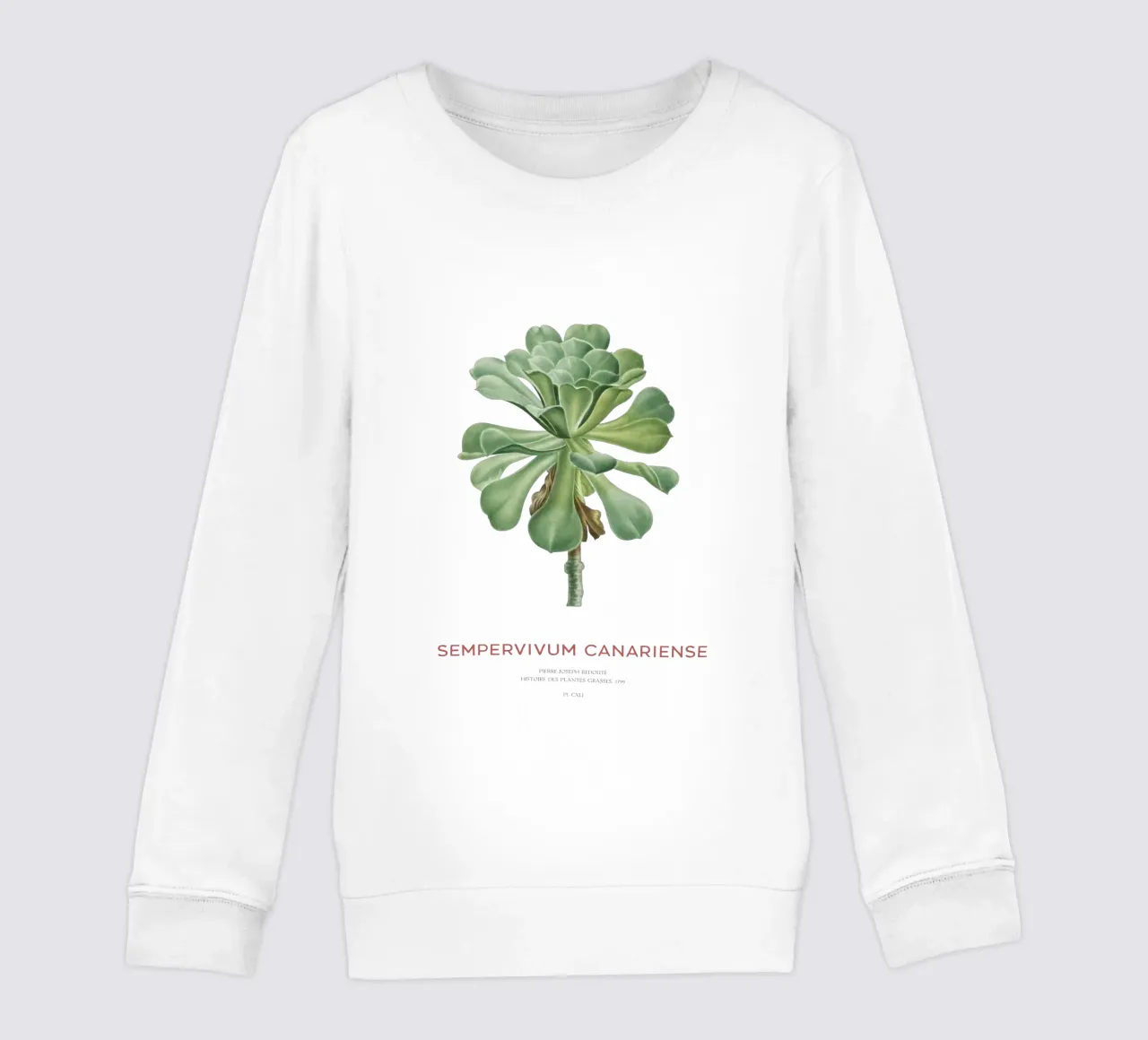 Aeonium Canariense o Sempervivum Canariense felpa bambino da Vintagrafica