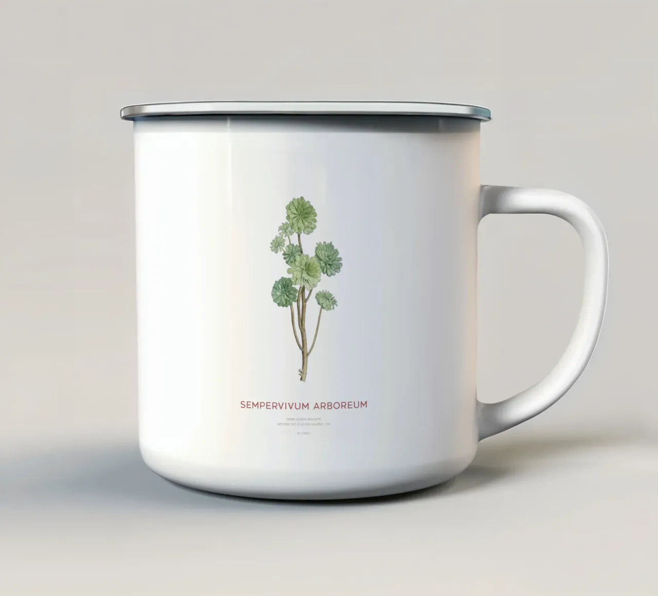 Rosa d'Irlanda o Sempervivum Arboreum tazza in smalto da Vintagrafica