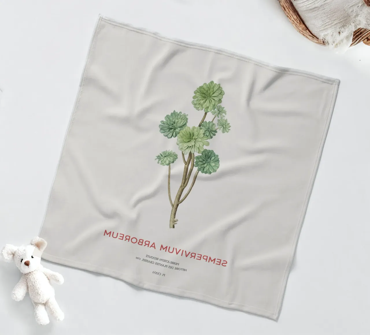 Rosa d'Irlanda o Sempervivum Arboreum coperta in pile da Vintagrafica